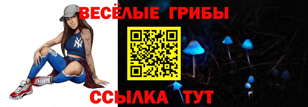 Галлюциногенные грибы Psilocybe Сухой Лог